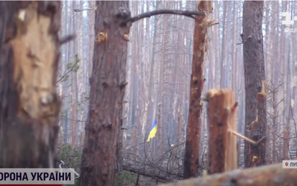 Українські воїни здійснили зухвалу операцію під носом в окупантів у Серебрянському лісі